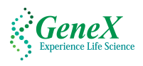 GeneX India Bioscience Pvt Ltd